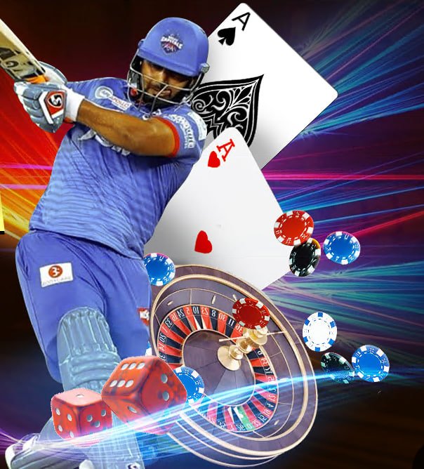 apk 24